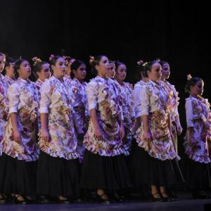 Fotografía de Talleres Danza Española (galería 2) - Conservatorio de Danza
